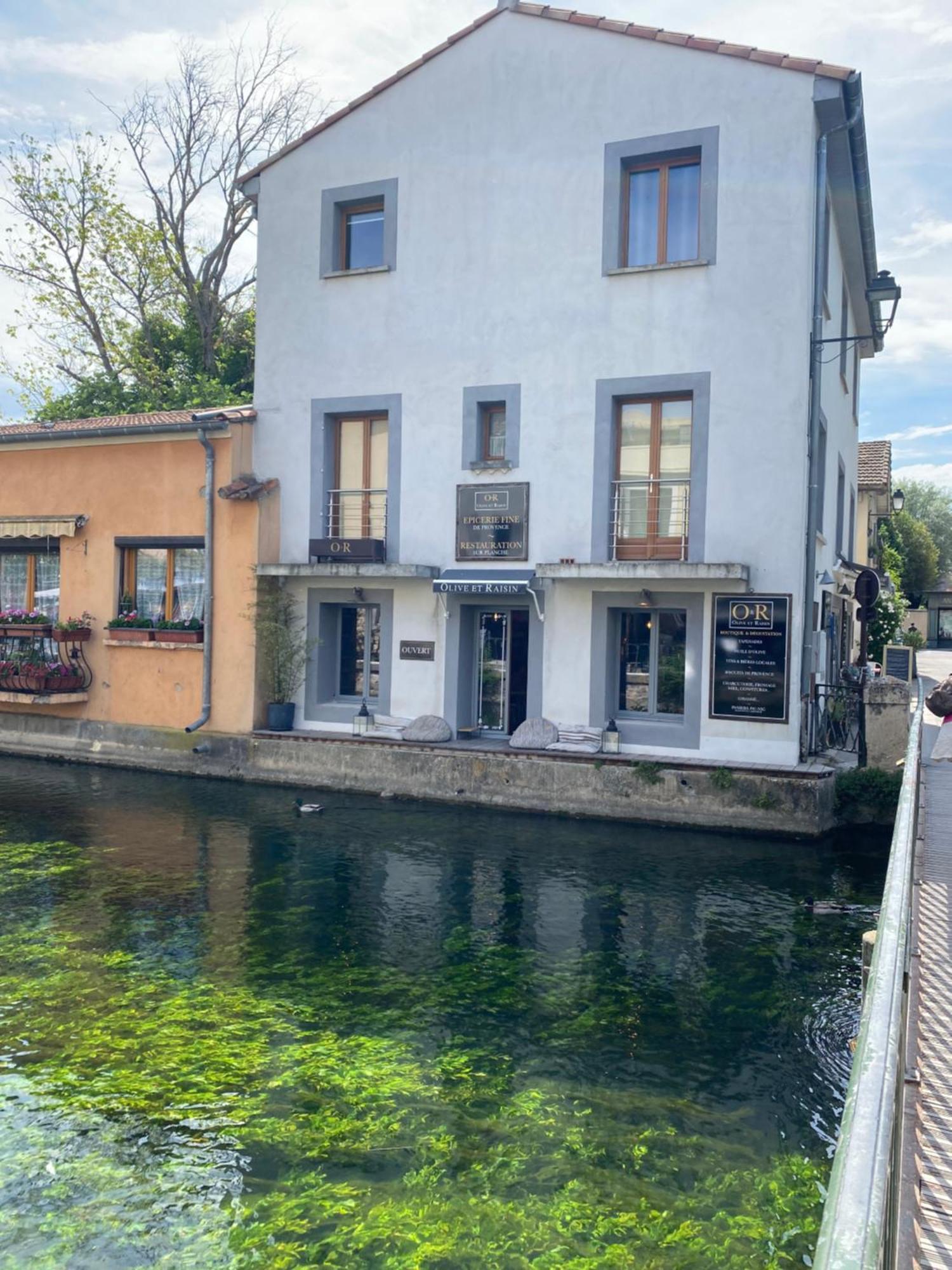 Olive- Vaste Appartement Donnant Sur La Sorgue 索格岛 外观 照片